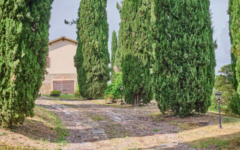 Villa Conte Jacopo: Fabriek, Lucht, Land Lot, Gras, Evergreen, Haag, Natuurlijk Landschap, Boom, Struik, Landschap