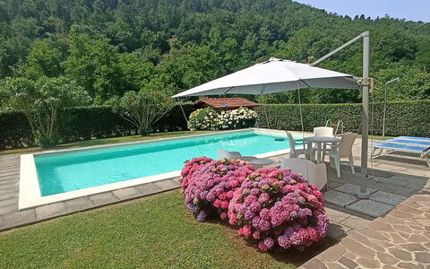 Villa Carducci: Lucht, Fabriek, Water, Eigendom, Zwembad, Paraplu, Bloem, Buitenmeubels, Schaduw, Boom
