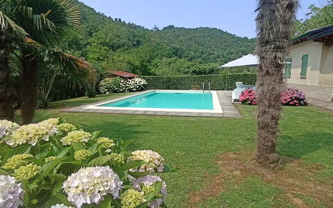 Villa Carducci: Fabriek, Water, Bloem, Lucht, Plantkunde, Groen, Azure, Boom, Natuurlijk Landschap, Zwembad