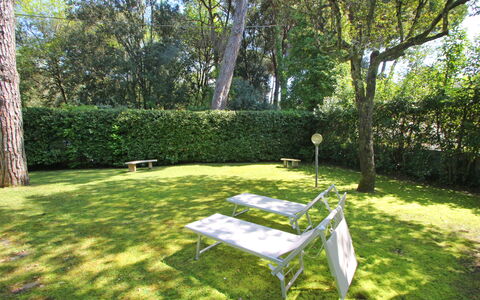 Villa Le Macchie: Fabriek, Tafel, Boom, Schaduw, Buitenmeubels, Natuurlijk Landschap, Vegetation, Zonlicht, Gras, Groundcover