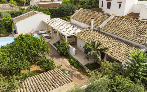 Villa Terrenove: Gebouw, Fabriek, Venster, Plantkunde, Land Lot, Stedelijk Ontwerp, Vegetation, Boom, Biome, Dak