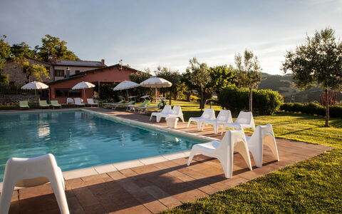 Villa Angelica: Water, Fabriek, Wolk, Lucht, Zwembad, Buitenmeubels, Boom, Ligstoel, Stoel, Schaduw