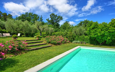 Villa Mami: Fabriek, Water, Lucht, Wolk, Eigendom, Groen, Natuurlijk Landschap, Boom, Bloem, Gras