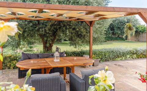 Cyca Holiday Home: Fabriek, Bloem, Tafel, Eigendom, Meubilair, Plantkunde, Buitentafel, Schaduw, Buitenmeubels, Geel