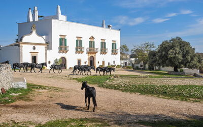 Masseria Tagliente