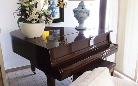 Villa Paradiso: Eigendom, Meubilair, Fabriek, Wit, Bloempot, Interieur Ontwerp, Hout, Comfort, Flooring, Verdieping