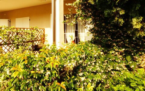 Casa Vacanze Sabrina: Fabriek, Gebouw, Vegetation, Zonlicht, Woody Plant, Groundcover, Gras, Tinten En Schaduwen, Struik, Natuurlijk Landschap
