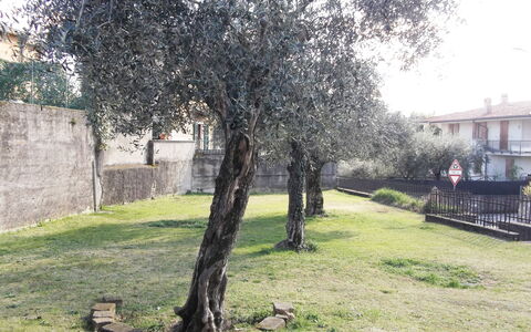 Casa Vacanze Sabrina: Fabriek, Afdeling, Land Lot, Boom, Gras, Gebouw, Woody Plant, Tinten En Schaduwen, Landschap, Schaduw