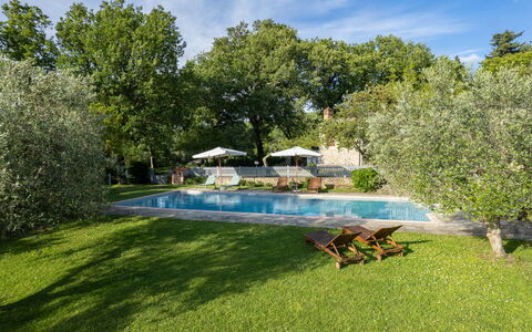 Villa Ida: Fabriek, Lucht, Water, Wolk, Zwembad, Natuurlijk Landschap, Boom, Buitenmeubels, Schaduw, Gras