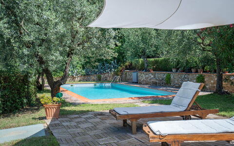 Chianti Hills Apartment, Pool, Ac: Fabriek, Water, Eigendom, Meubilair, Zwembad, Schaduw, Buitenmeubels, Interieur Ontwerp, Ligstoel, Boom