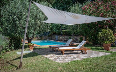 Chianti Hills Apartment, Pool, Ac: Fabriek, Water, Tafel, Schaduw, Bloempot, Boom, Buitenmeubels, Ligstoel, Zwembad, Vrije Tijd