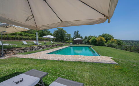 Chiara House In Galenda, Chianti, Pool And Nature: Eigendom, Fabriek, Water, Gebouw, Schaduw, Buitenmeubels, Zwembad, Paraplu, Lucht, Rechthoek