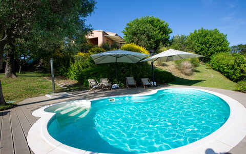 Villa Gelso: Water, Fabriek, Eigendom, Lucht, Zwembad, Azure, Boom, Natuur, Buitenmeubels, Zwemwater