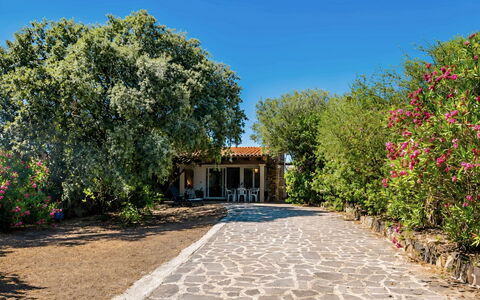 La Casa dei Nonni: Struik, Tuin, Schaduw, Flagstone, Landscaping, Werf, Oprit, Hacienda, Backyard, Boerderij