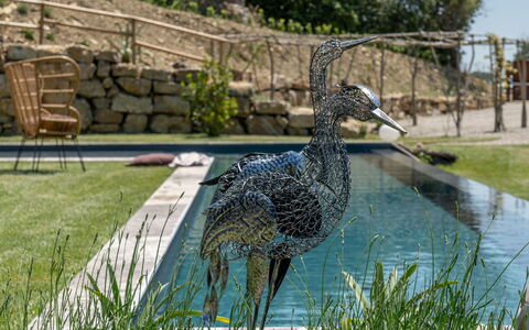 Villa Paradise: Water, Fabriek, Boom, Bank, Gras