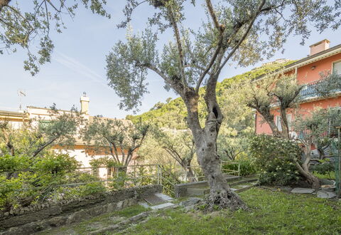Pieve Ligure Seaside View, Wifi: Blad, Afdeling, Vegetation, Struik, De Lente, Takje, Tuin, Landgoed, Werf, Landscaping