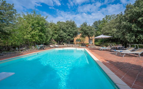 Santa Colomba House, Siena, Nature And Pool: Water, Wolk, Fabriek, Eigendom, Lucht, Zwembad, Azure, Boom, Stoel, Schaduw