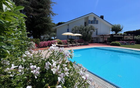 Villapronti: Water, Fabriek, Bloem, Eigendom, Gebouw, Lucht, Zwembad, Boom, Stoel, Huis