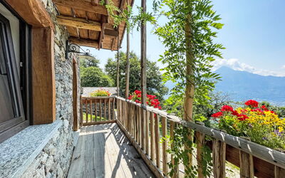 Accommodatie:&nbsp;Baita Mirtillo 669.1