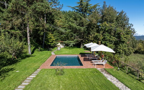 Villa Chicco: Fabriek, Lucht, Paraplu, Plantkunde, Boom, Schaduw, Land Lot, Gras, Zwembad, Vrije Tijd