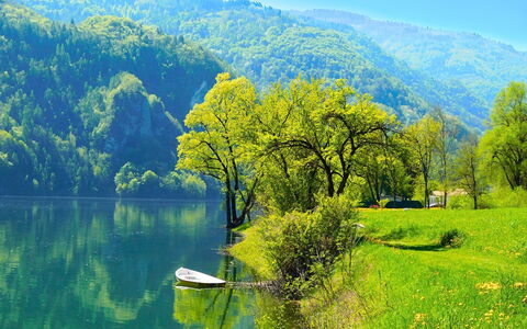 Apartment With Garden, Del Corlo Lake, Belluno: Water, Lucht, Fabriek, Groen, Berg, Azure, Natuurlijk Landschap, Boom, Hoogland, Meer