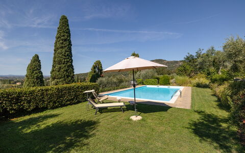 Villa Delle Rose: Lucht, Wolk, Water, Fabriek, Zwembad, Buitenmeubels, Paraplu, Schaduw, Boom, Land Lot