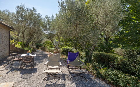 Villa Delle Rose: Fabriek, Plantengemeenschap, Stoel, Natuurlijk Landschap, Land Lot, Boom, Gras, Tafel, Schaduw, Buitenmeubels