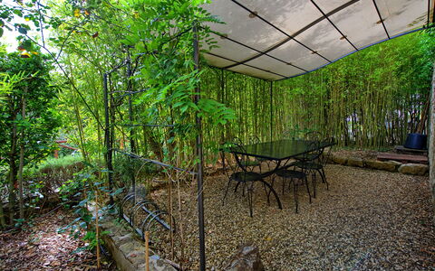 Casa Minuccia: Fabriek, Tafel, Schaduw, Natuurlijk Landschap, Vegetation, Boom, Plantendiversiteit, Buitenmeubels, Biome, Hout