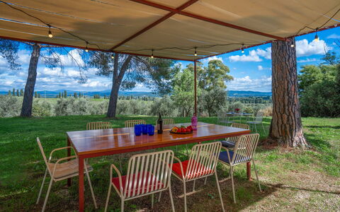 Poggetti San Luigi Country Home Follonica: Tafel, Fabriek, Meubilair, Eigendom, Wolk, Natuur, Lucht, Stoel, Schaduw, Buitentafel