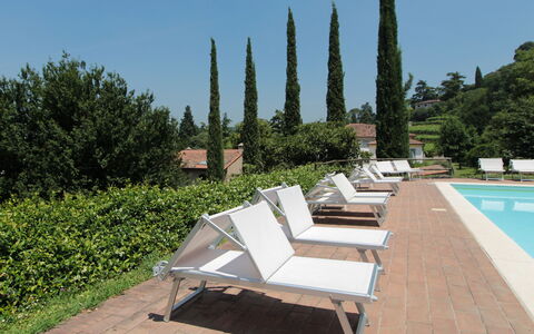 Il Vigneto, Verona, Pool, Wifi: Buitenmeubels, Ligstoel, Zwembad, Schaduw, Tuin, Toevlucht, Landscaping, Binnenplaats, Eco Hotel, Chaise Longue