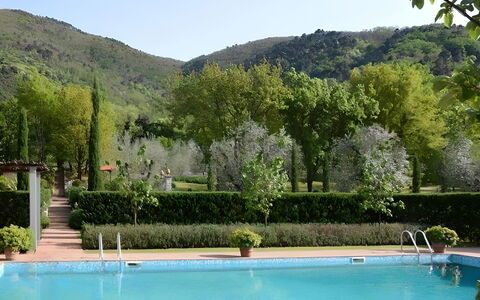Villa Bongi: Zwembad, Struik, Tuin, Eco Hotel, Toevlucht, Hacienda, Landgoed, Landscaping, Plantage, Evergreen