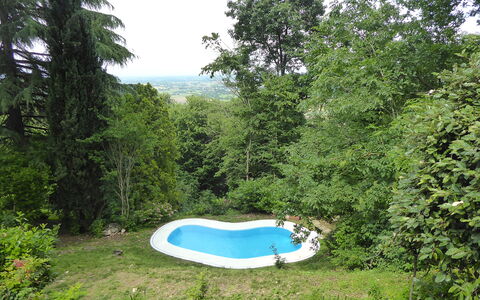 Casa Delle Eriche, Colli Euganei, Pool, Wifi: Tuin, Schaduw, Gazon, Backyard, Landscaping, Zwembad, Werf, Bos, Park, Evergreen