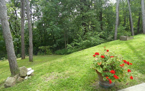 Casa Delle Eriche, Colli Euganei, Pool, Wifi: Gras, Struik, Tuin, Gazon, Groundcover, De Lente, Landscaping, Weide