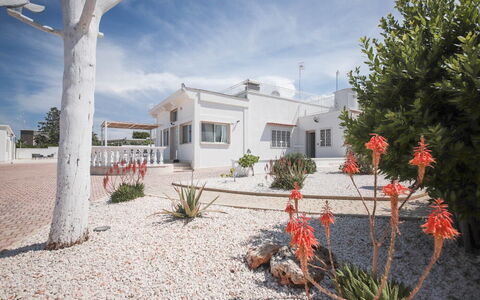Villa Azzurra Seaview In Monopoli, Puglia: Wolk, Fabriek, Lucht, Eigendom, Gebouw, Venster, Boom, Huis, Land Lot, Arecales