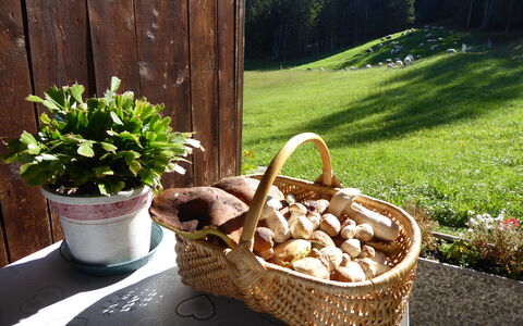 Baita Mountain View Pale San Martino: Mand, Bloempot, Wicker, Voedsel, Serveware, Produceren, Fungus, Kamerplant