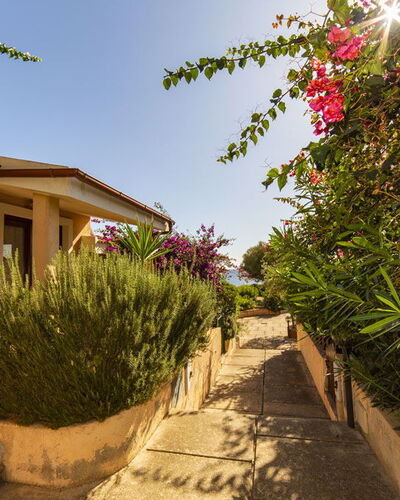 Trilocale Apartments Seaside: Struik, Huis, Tuin, Landscaping, Schaduw, Oprit, Werf, Hacienda, Gang, Backyard