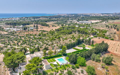 Masseria Ceratonia: Boom, Vogelperspectief, Woongebied, Landschap, Luchtfotografie, Land Lot, Stedelijk Ontwerp, Voorstad, Landgoed, Plantage