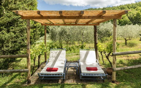 Podere Monti: Hout, Meubilair, Buitenmeubels, Tuin, Schaduw, Hardwood, Beits, Outdoor Structuur, Buitentafel, Backyard