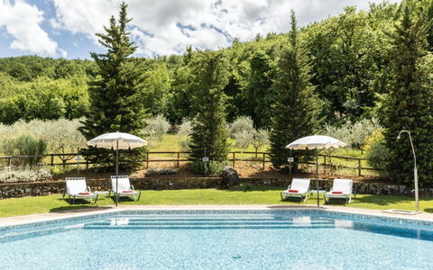 Podere Monti: Meubilair, Zwembad, Toevlucht, Buitenmeubels, Ligstoel, Lariks, Waterpartij, Eco Hotel, Thermae