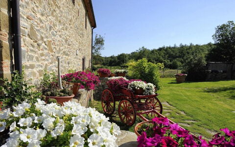 Mulino della Villa: Bloem, Struik, Tuin, Roze, De Lente, Landscaping, Bloempot, Bloemisterij, Werf, Kamerplant