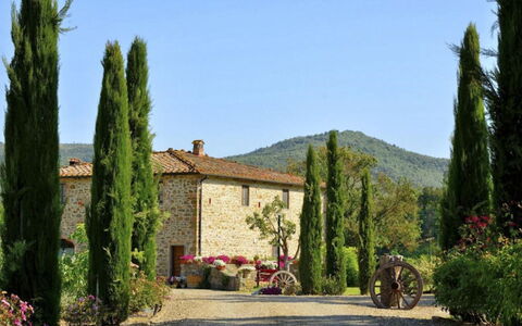 Mulino della Villa: Struik, Tuin, Landscaping, Plantage, Evergreen, Pine Family