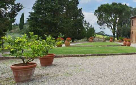 Il Tinaio: Struik, Tuin, Bloempot, Landscaping, Flagstone, Gang, Werf, Gazon, Hacienda