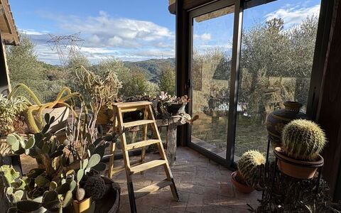 Poggio Aperto: Bloempot, Tuin, Landscaping, Kamerplant, Backyard, Outdoor Structuur