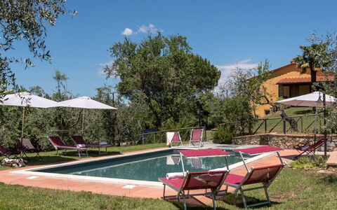 Bellaria: Landgoed, Hacienda, Backyard, Buitenmeubels, Villa, Tuin, Boerderij, Werf, Zwembad, Landscaping