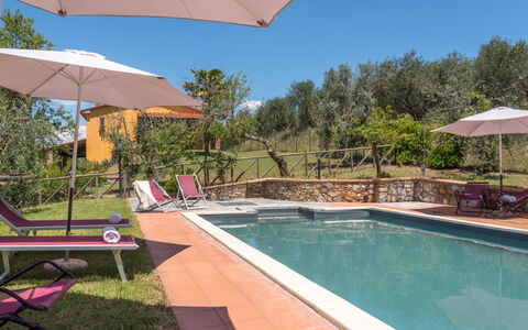 Bellaria: Zwembad, Landgoed, Hacienda, Tuin, Toevlucht, Landscaping, Eco Hotel, Backyard, Villa, Ligstoel