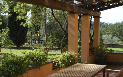 Podere Torre: Hout, Struik, Tuin, Plantengemeenschap, Schaduw, Groundcover, Backyard, Outdoor Structuur, Landscaping