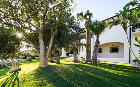 Villa Luna Blu: Boom, Architectuur, Schaduw, Tuin, Landgoed, Landscaping, Hacienda, Toevlucht