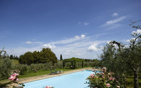 Villa del Riccio: Struik, Tuin, Landgoed, Landscaping, Hacienda, Villa, Zwembad, Plantage, Binnenplaats, Boerderij