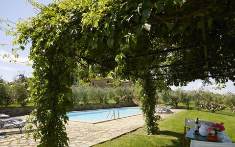 Villa del Riccio: Schaduw, Buitenmeubels, Backyard, Zwembad, Eco Hotel