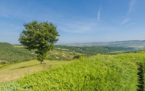 Podere del Mezzadro: Groen, Natuurlijke Omgeving, Gras, Natuur, Grasland, Natuurlijk Landschap, Vegetation, Heuvel, Landschap, Ecoregio